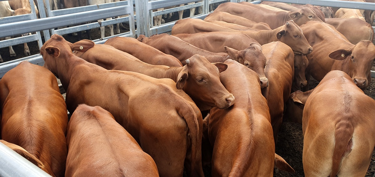 Beaudesert Store Sale – 6th March 2021