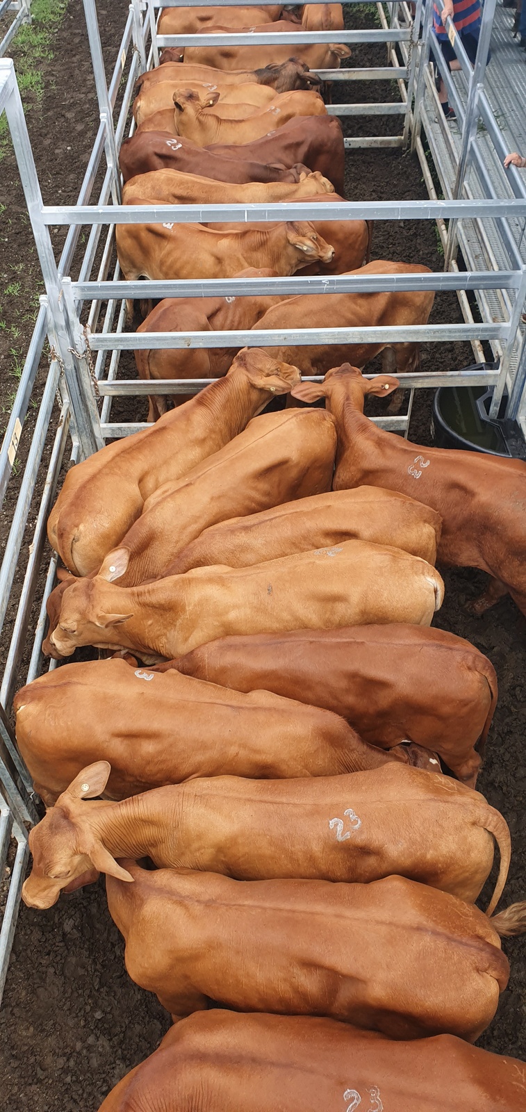 Beaudesert Store Sale – 23rd October 2021