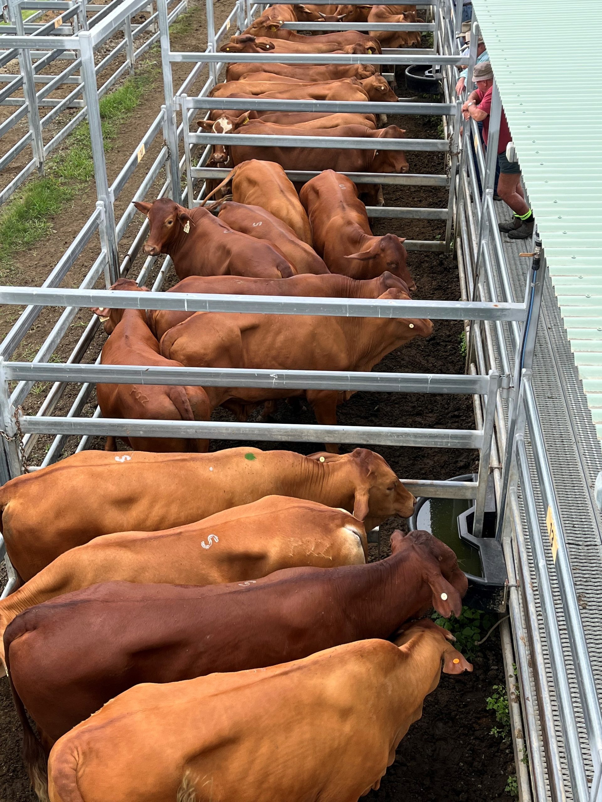 Beaudesert Store Sale – 6th November 2021