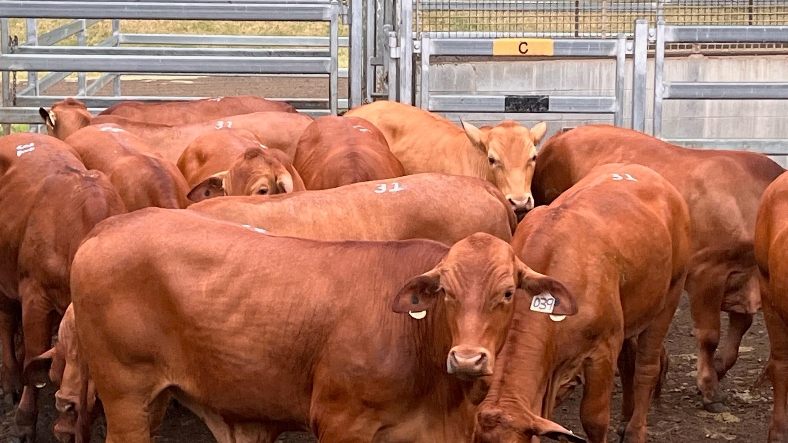 Beaudesert Store Sale – 26th March 2022