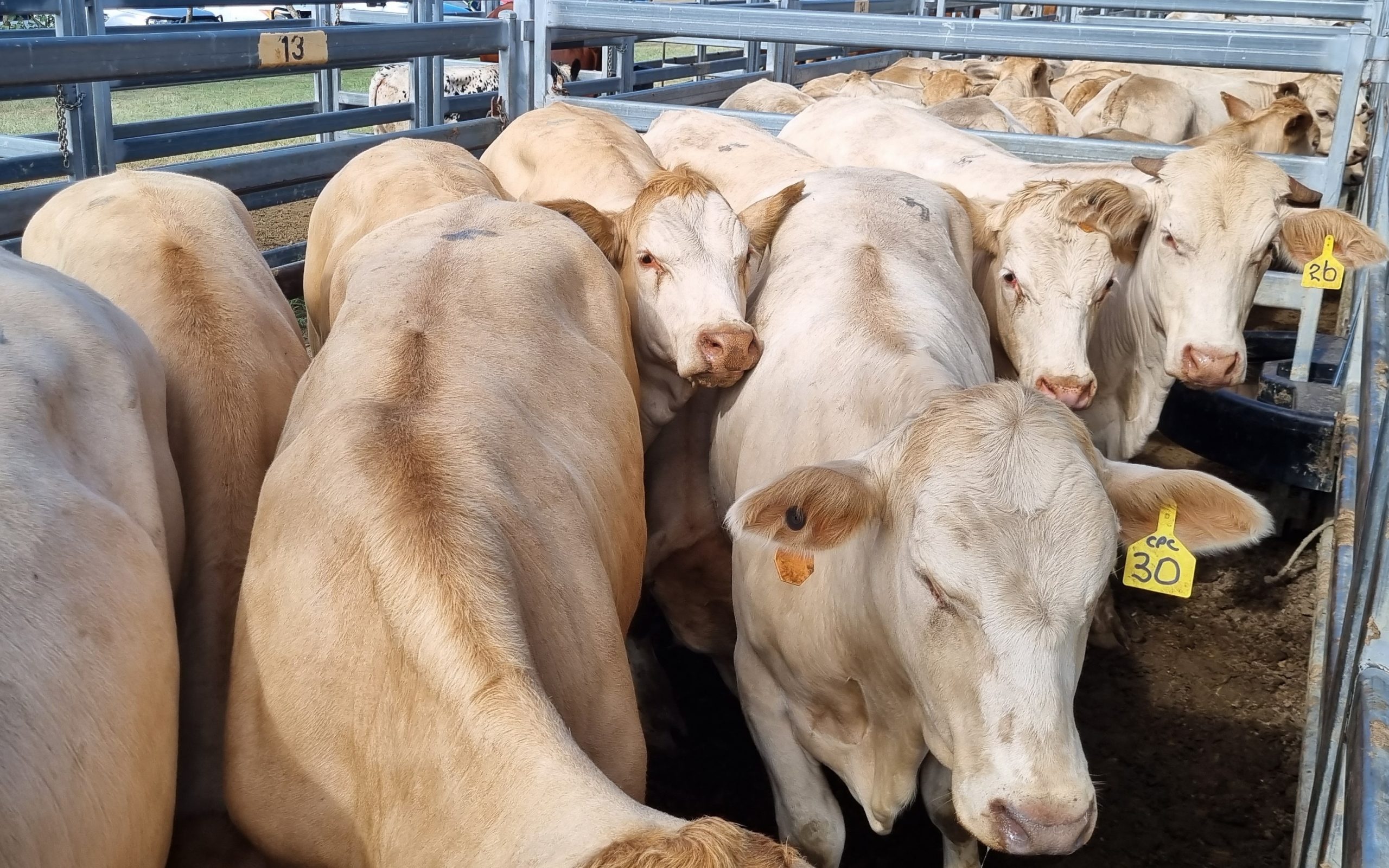 Beaudesert Store Sale – 25th February 2023