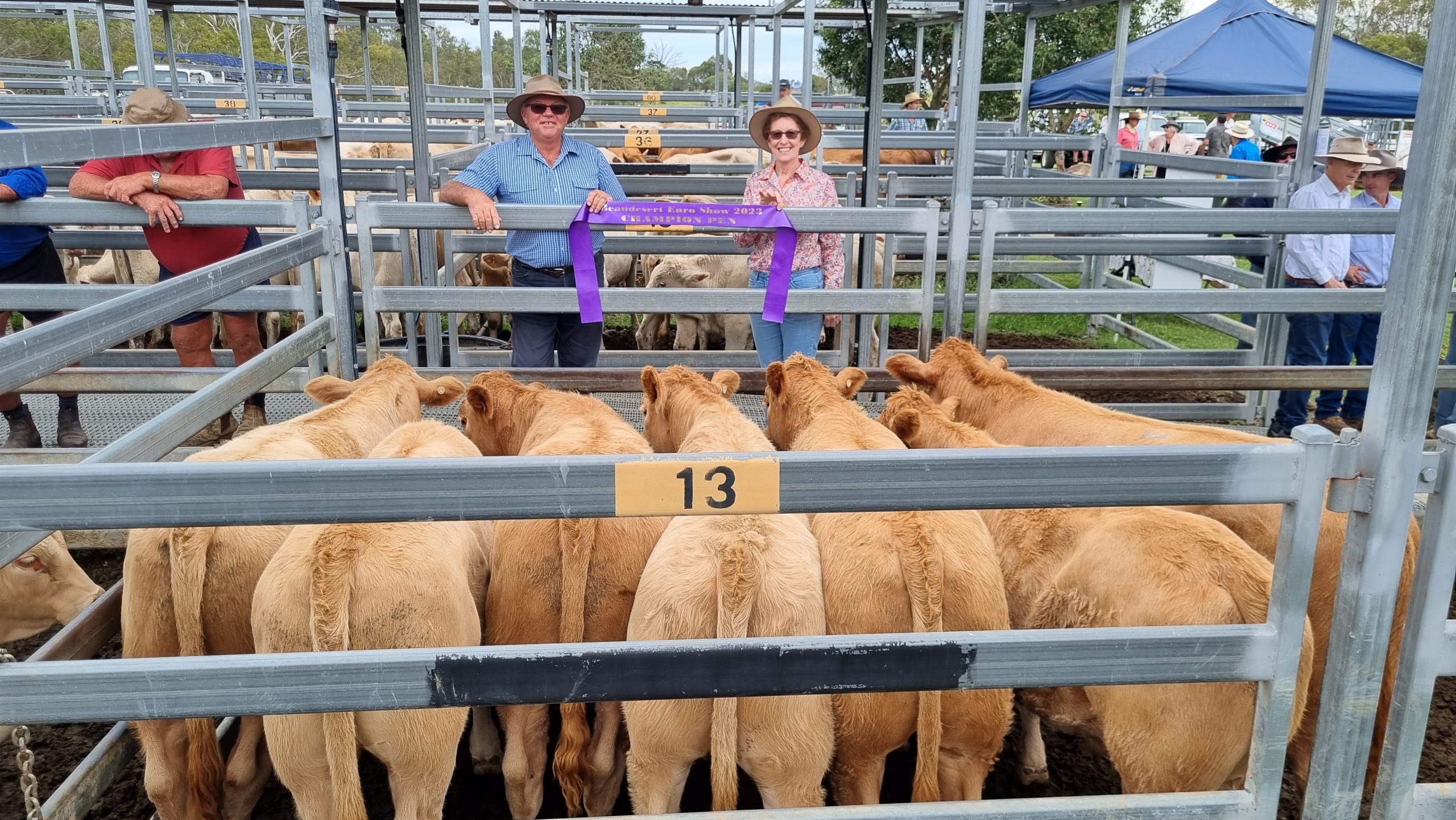 Beaudesert Euro Show & Sale – 1st April 2023