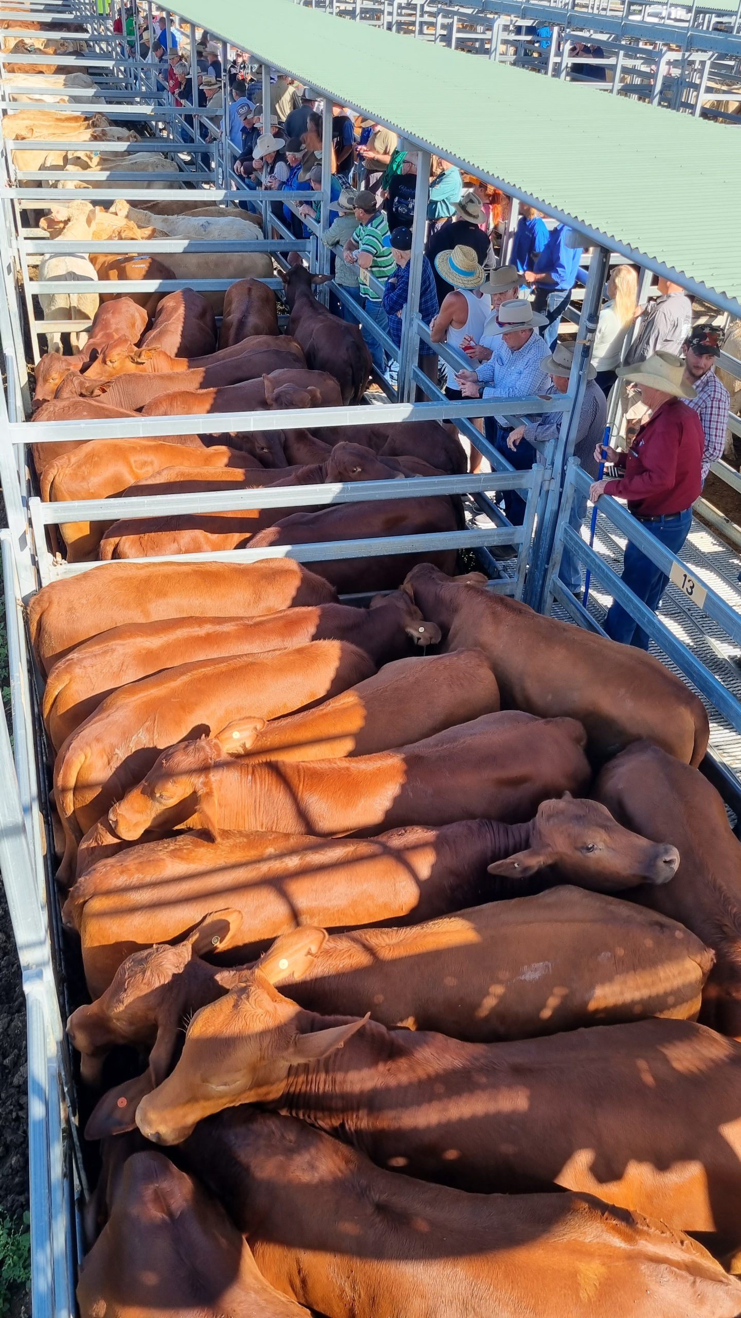 Beaudesert Store Sale – 13th May 2023