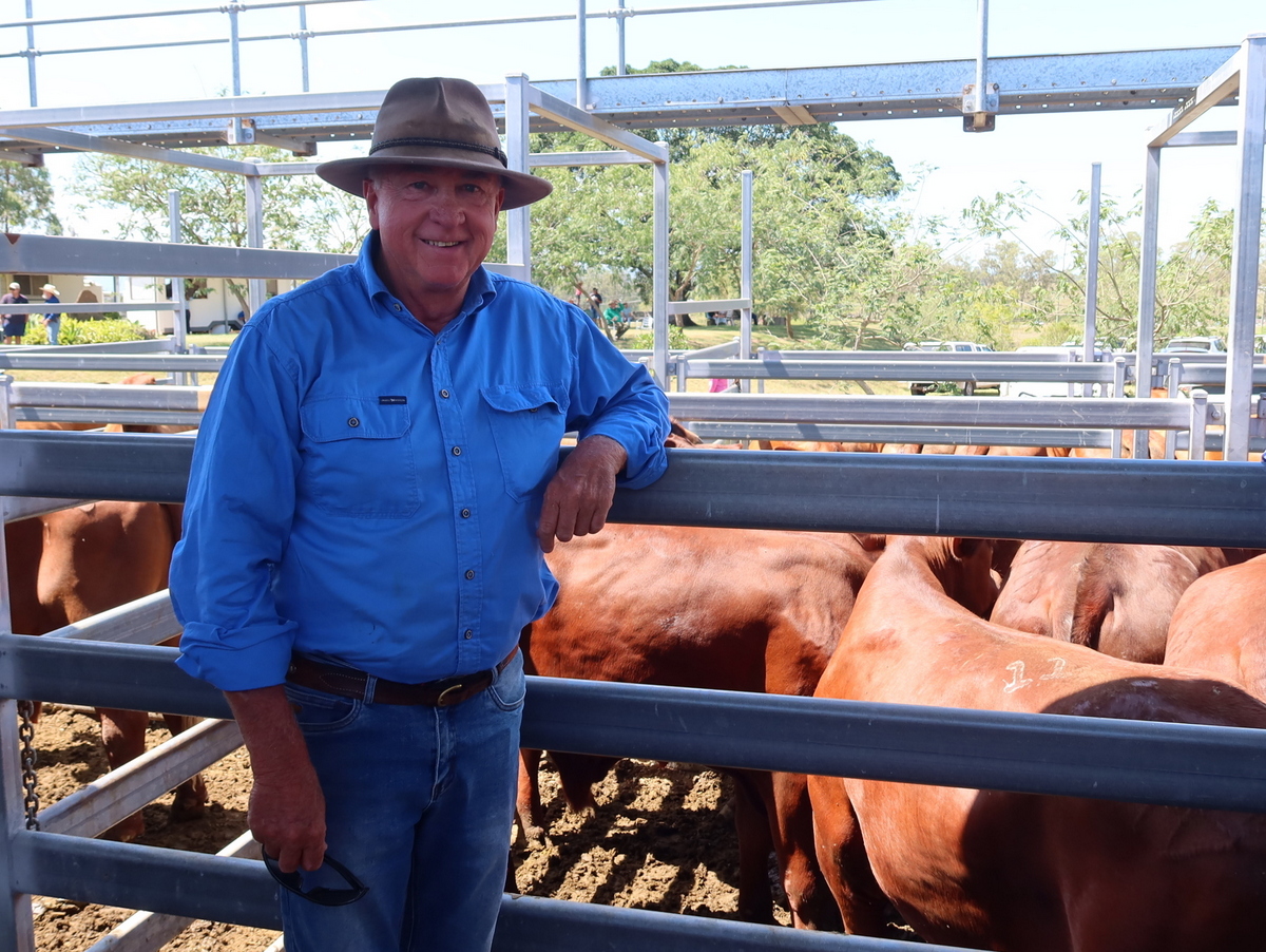 Beaudesert All Red Show & Sale – 18th February 2023