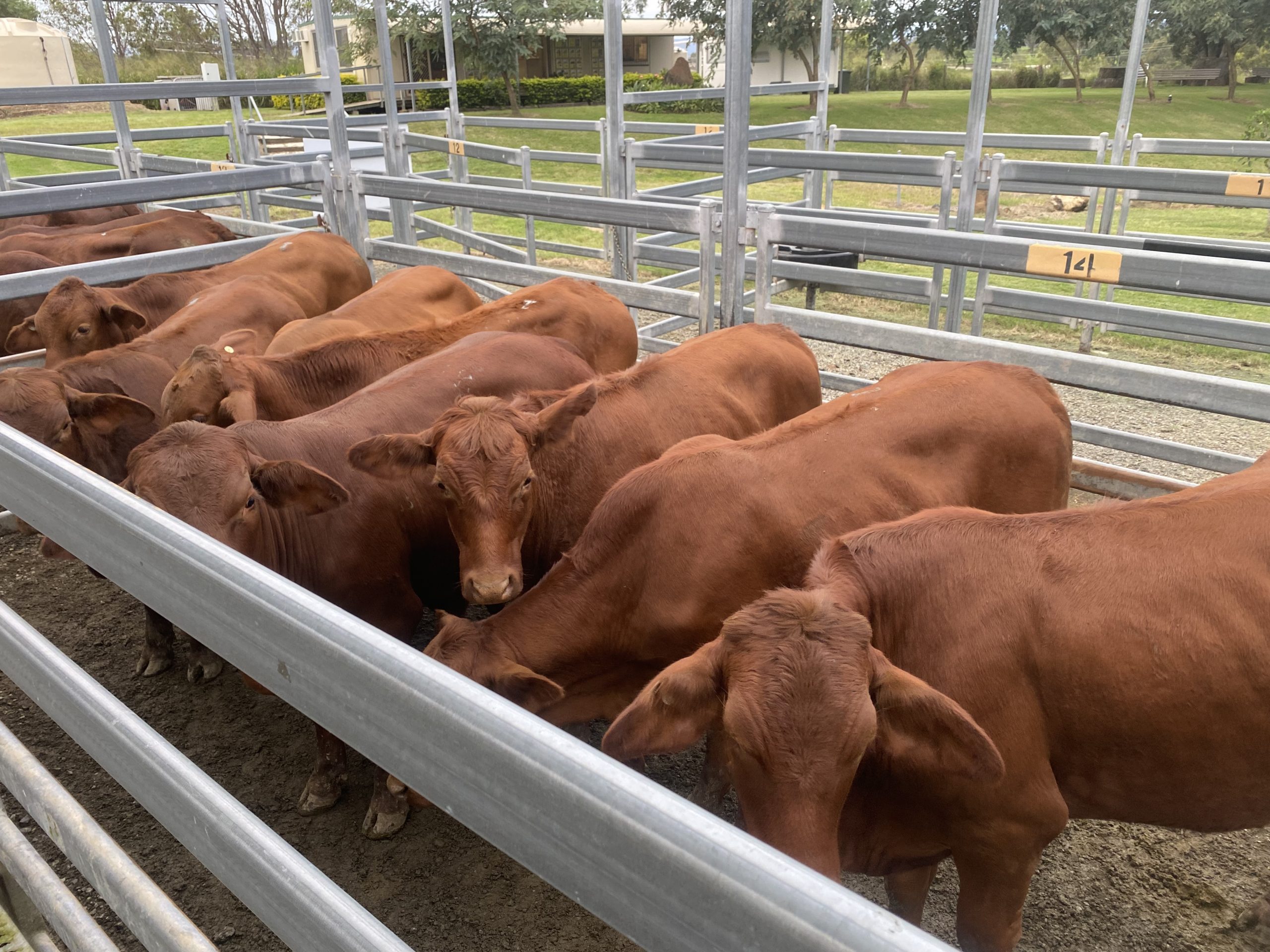 Beaudesert Store Sale – 21st May 2022