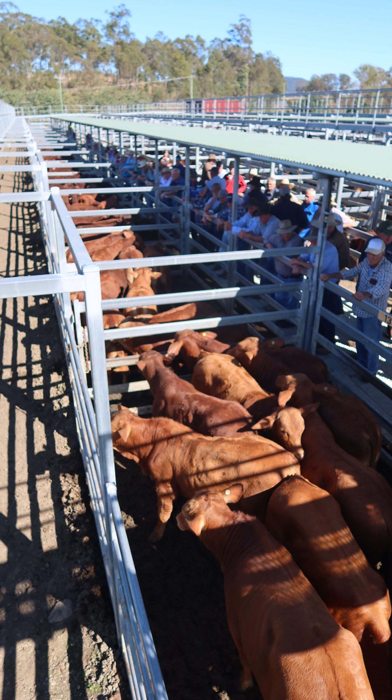 Beaudesert Store Sale 20th August 2022