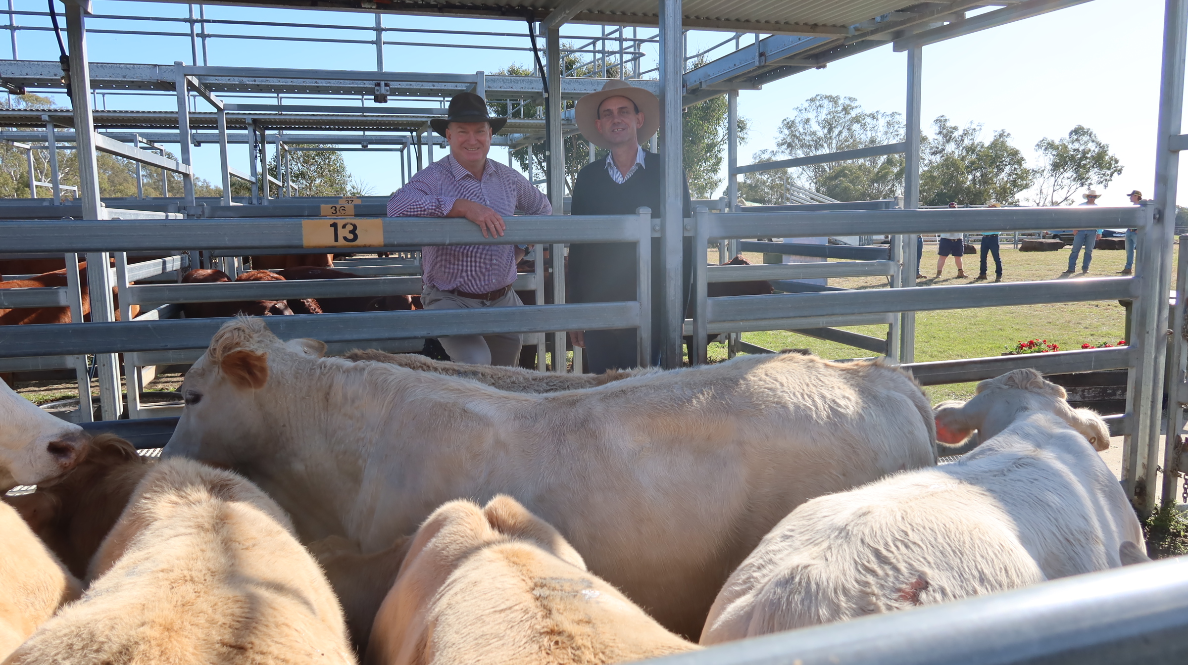 Beaudesert Store Sale – 5th August 2023