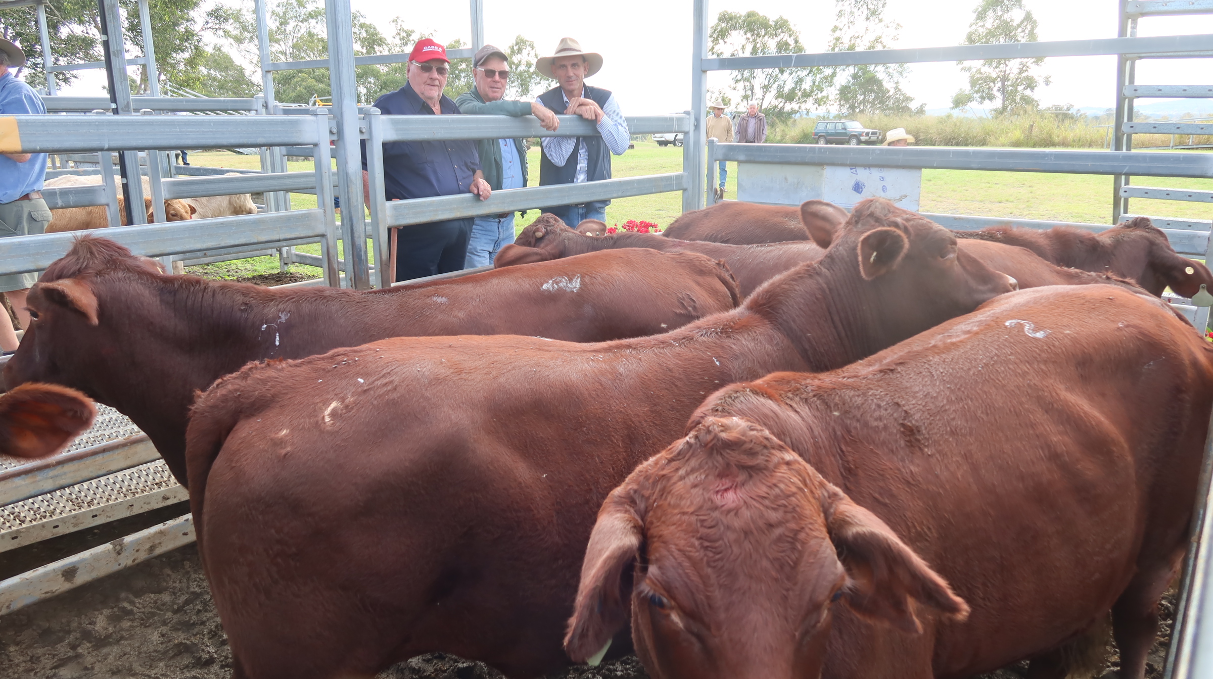Beaudesert Store Sale 11th May 2024
