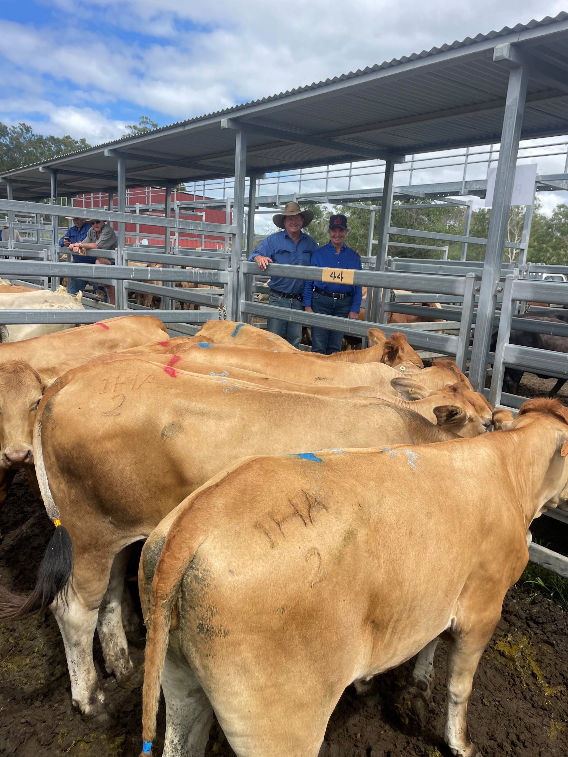 Beaudesert Store Sale – 13th January 2024