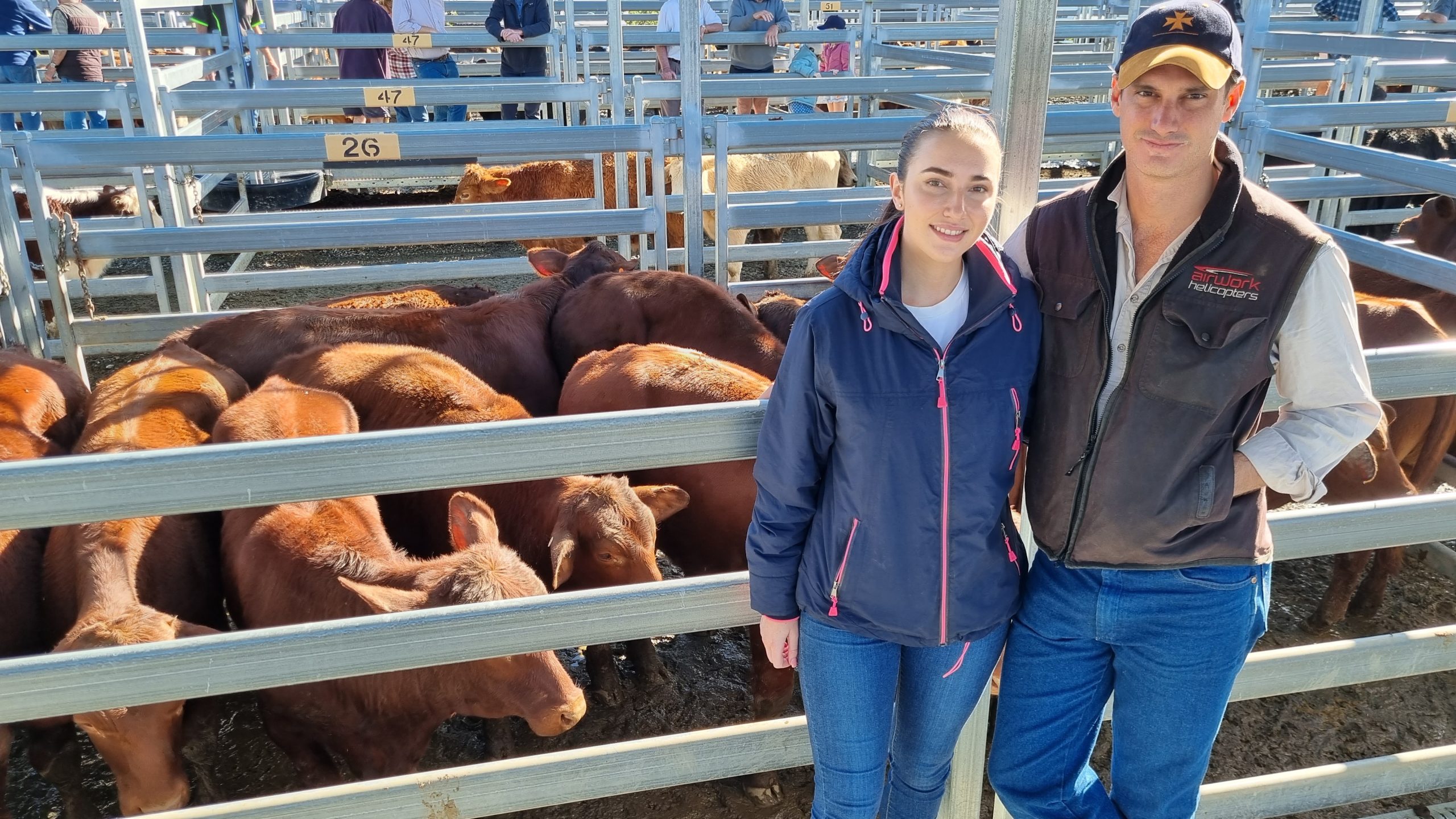 Beaudesert Weaner & Store Sale – 4th June 2022