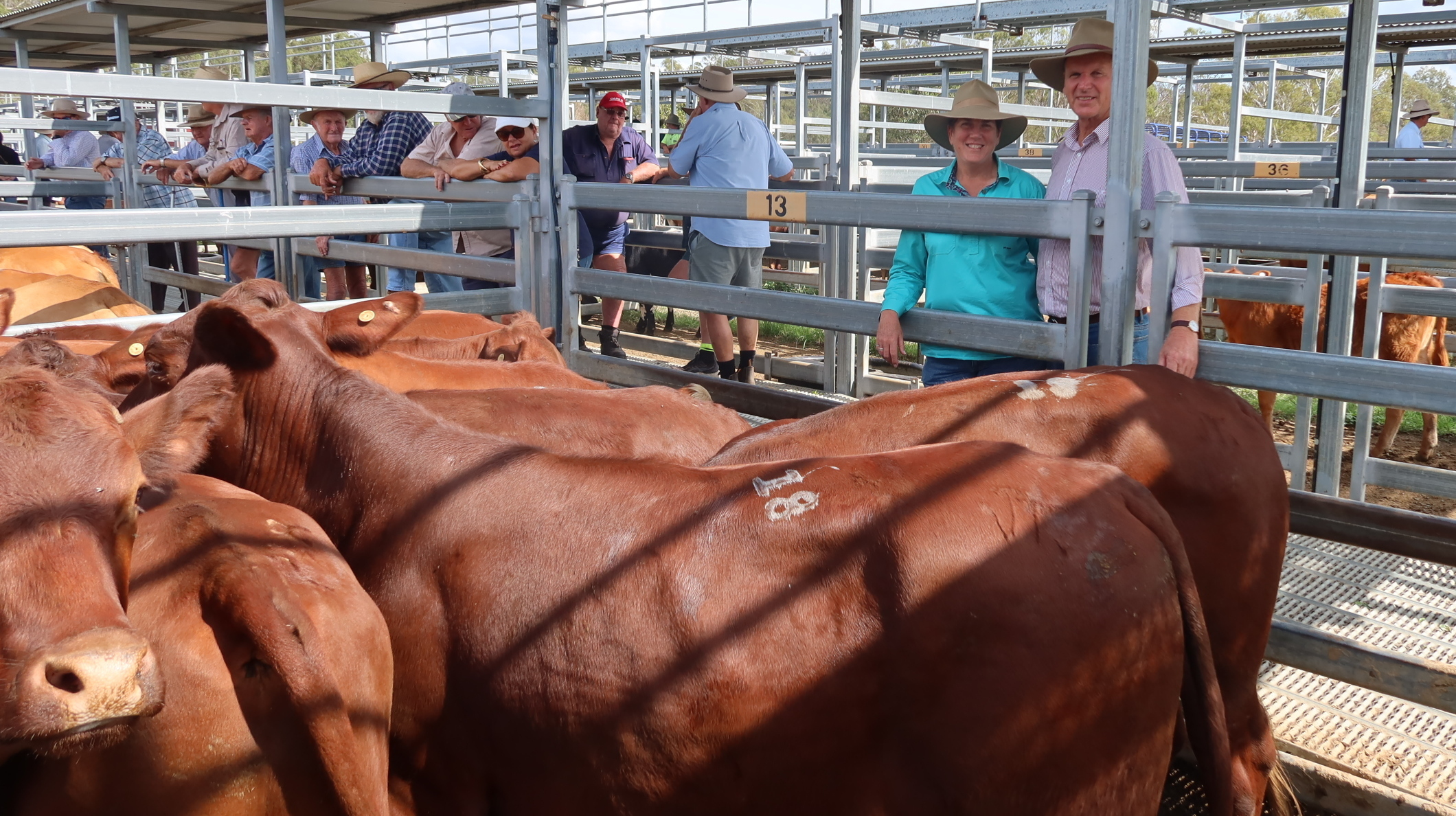 Beaudesert Store Sale – 25th March 2023