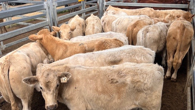 Beaudesert Store Sale – 26th September 2026