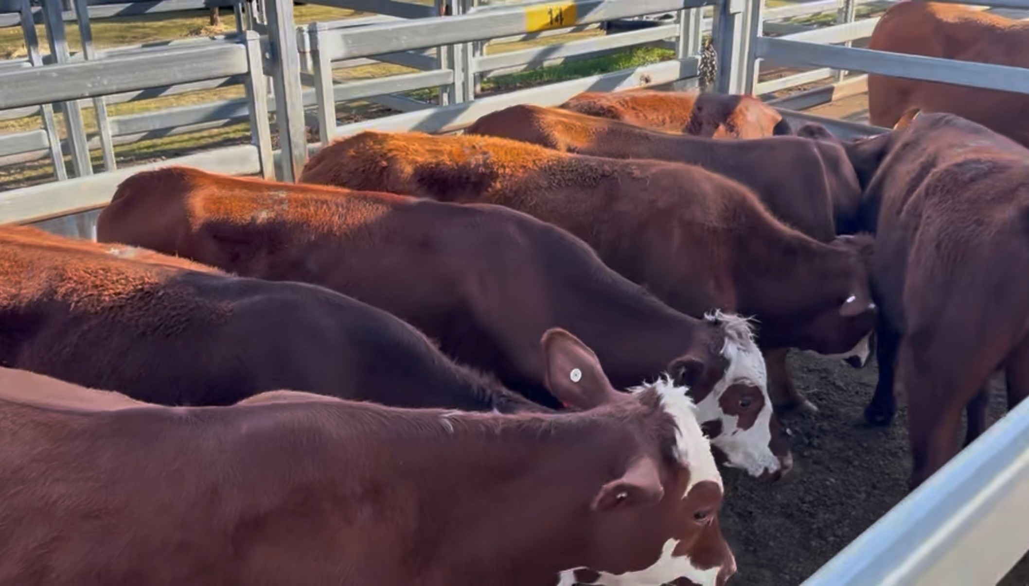 Beaudesert Store Sale – 10th October 2026